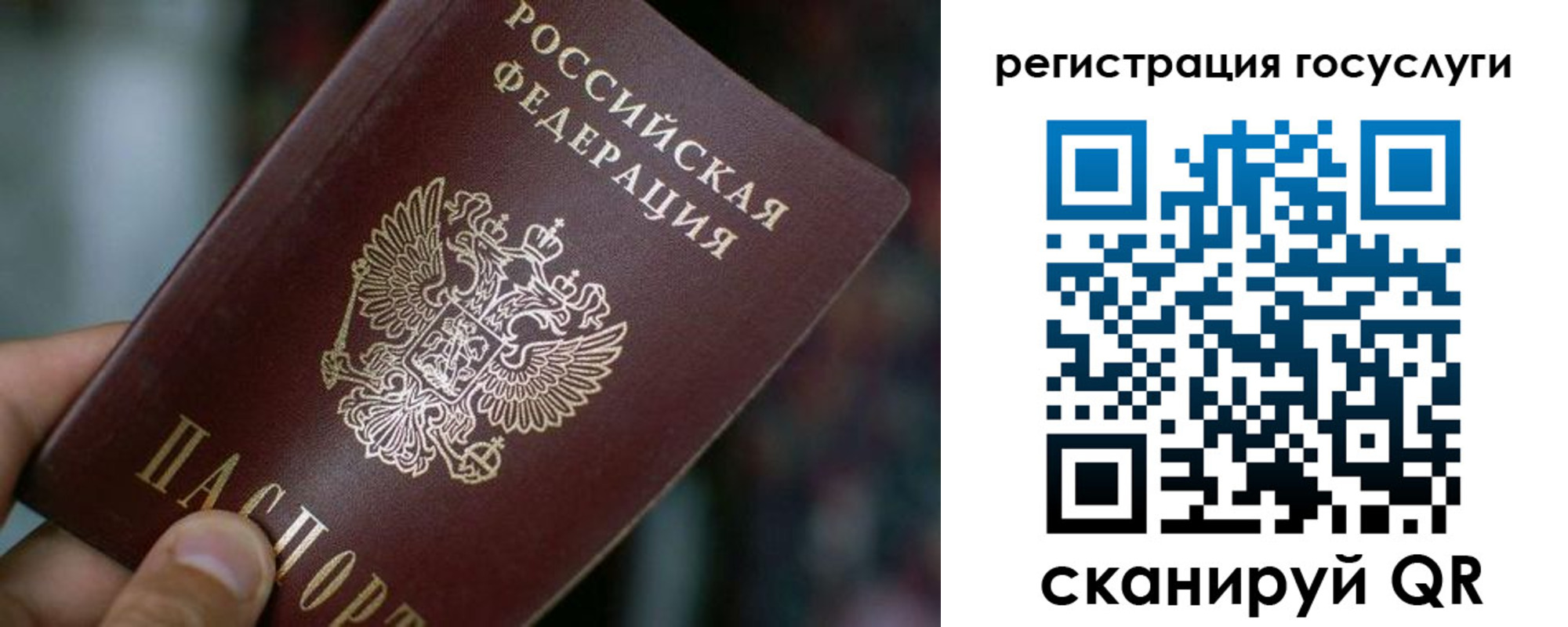 временная прописка в Светлограде